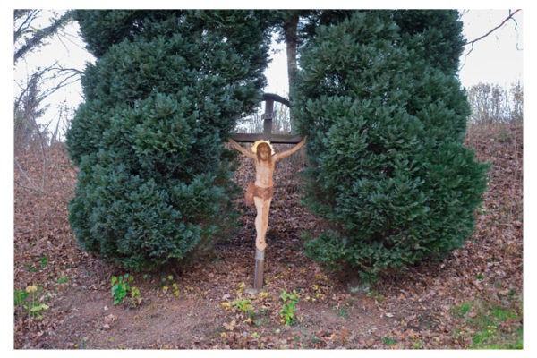 Enrico-Markus-Essl Enrico-Markus-Essl