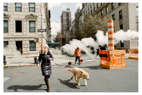 Frank-Multari-1 Frank-Multari-1