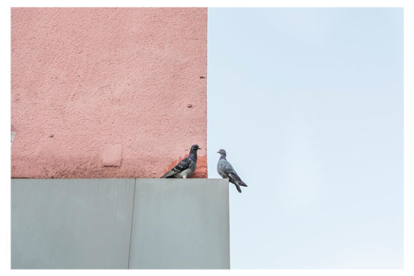 Julie-Hrudova Julie-Hrudova