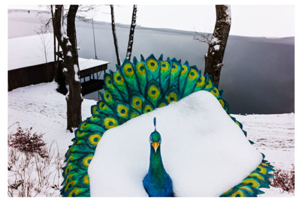 Mario-Cuic Mario-Cuic