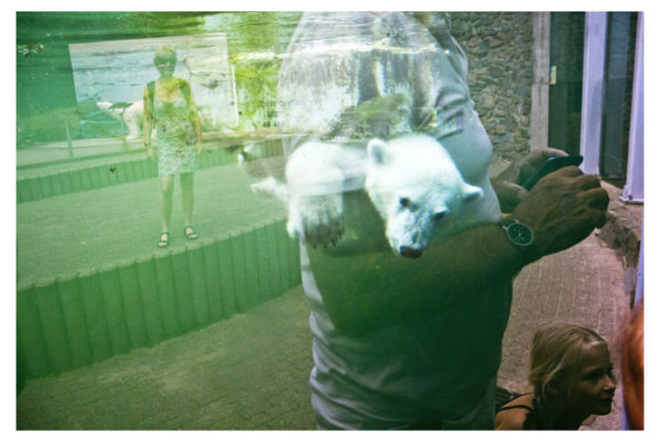 maurice-snabillie maurice-snabillie