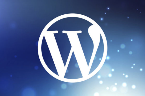 creazione siti wordpress pesaro