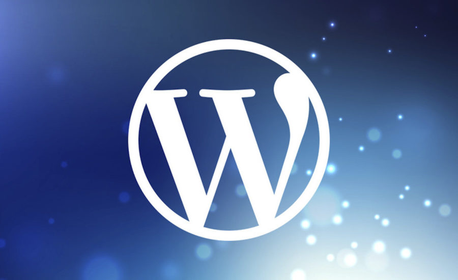 creazione siti wordpress pesaro